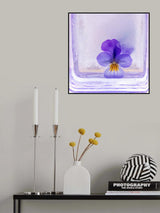 Frozen beauti Poster och Canvastavla