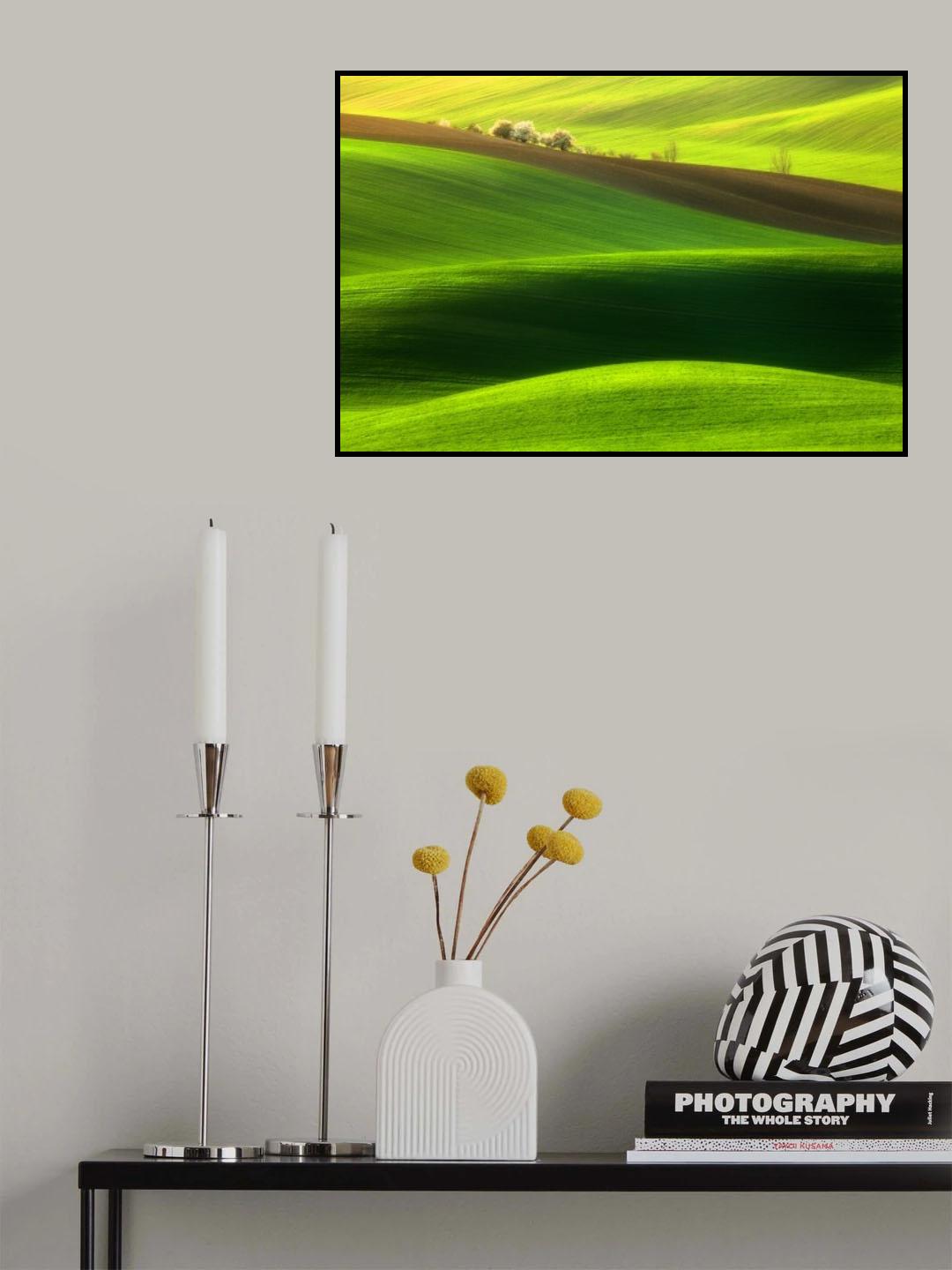 Spring time... Poster och Canvastavla