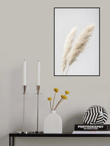 Pampas Grass Grey 13 Poster och Canvastavla