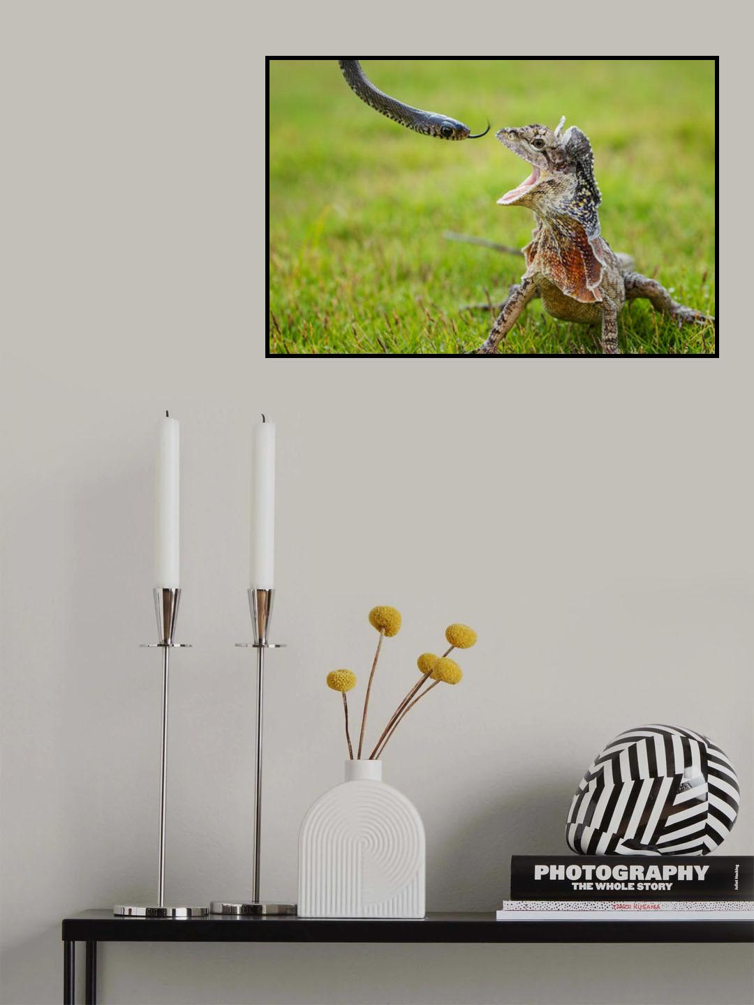 Poster och Canvastavla