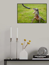 Poster och Canvastavla