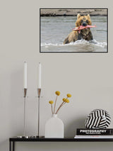 Fishing Poster och Canvastavla
