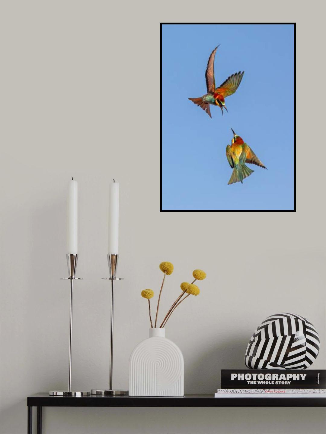 Battle for territory Poster och Canvastavla