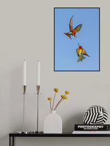 Battle for territory Poster och Canvastavla
