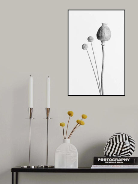 Poppy Seed Capsule Black and White Poster och Canvastavla