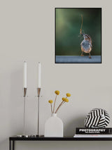 Morning light Poster och Canvastavla