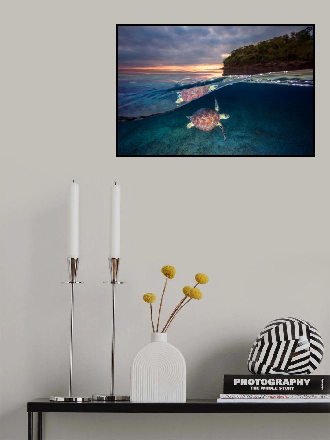 Green turtle with sunset Poster och Canvastavla