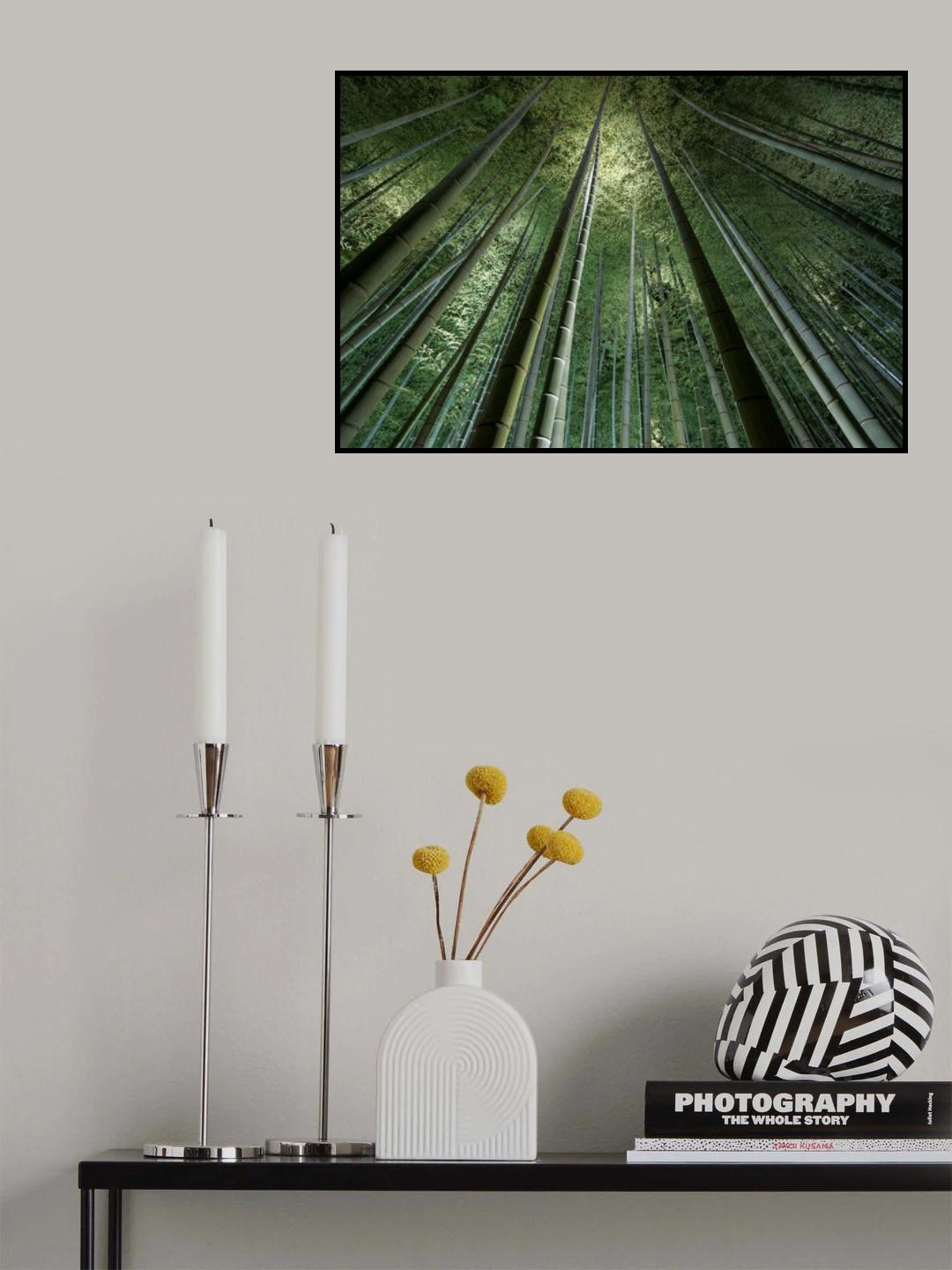 Bamboo Night Poster och Canvastavla