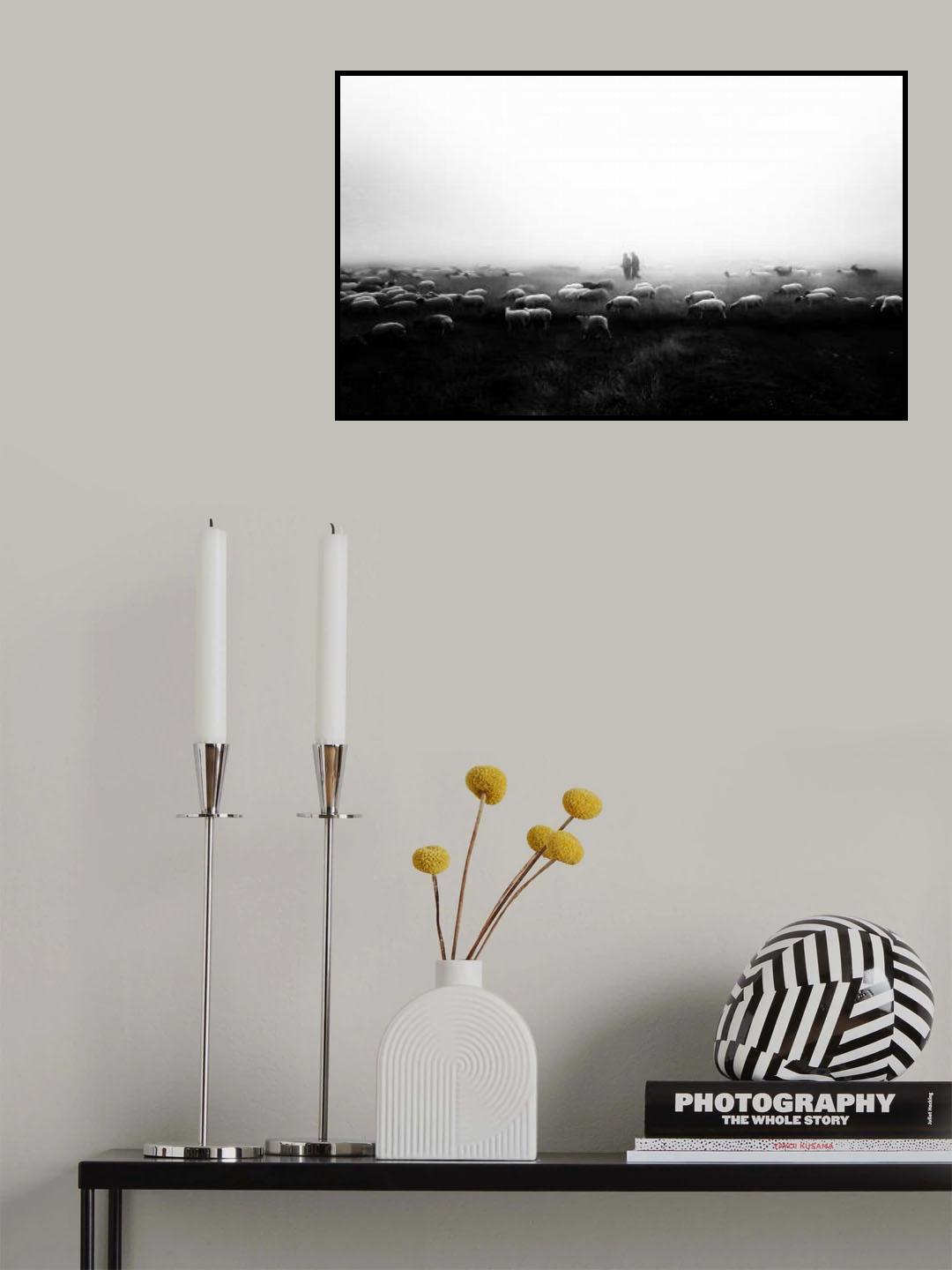 The flock in the fog Poster och Canvastavla