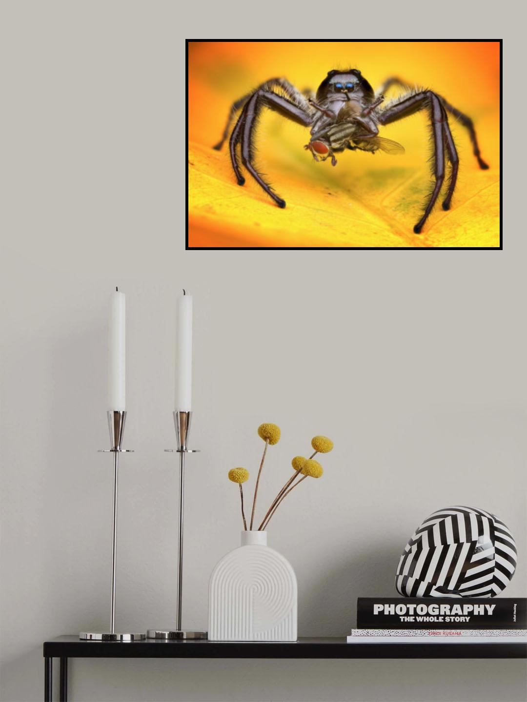 Gigantius Jumping Spider Poster och Canvastavla