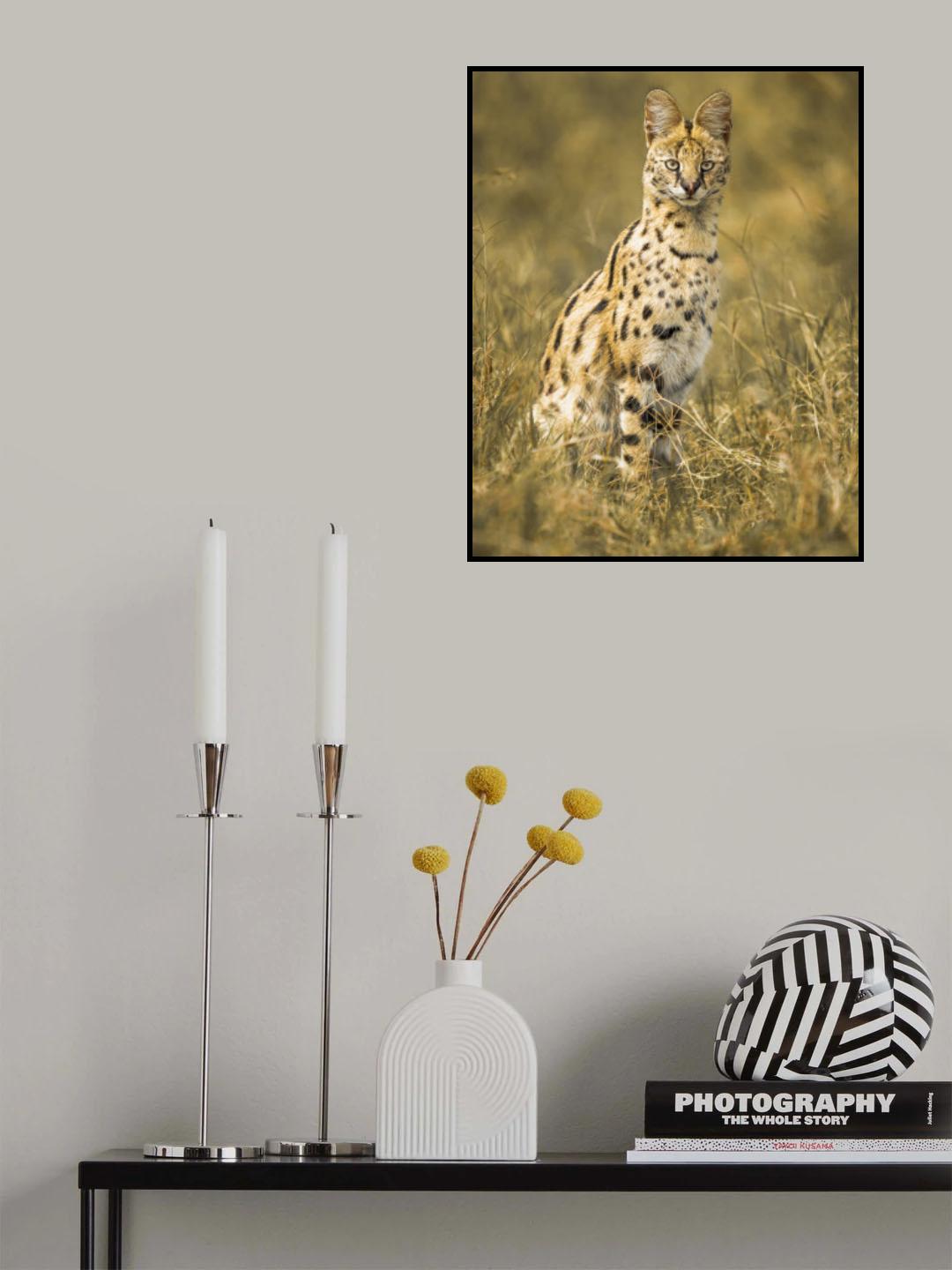 Beauty Poster och Canvastavla