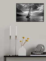 furia Poster och Canvastavla