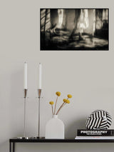 Hide it in a hiding place where no on ever goes Poster och Canvastavla