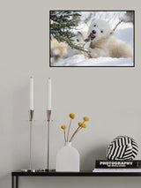 Play time 3 Poster och Canvastavla