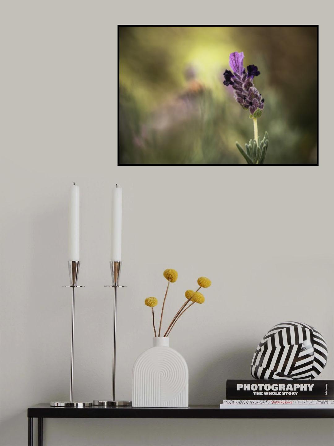Lavender 1 2 Poster och Canvastavla