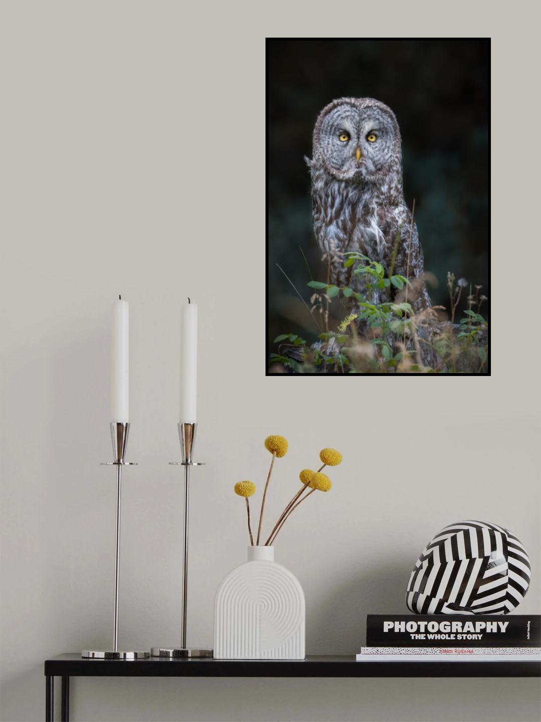 Look at Poster och Canvastavla
