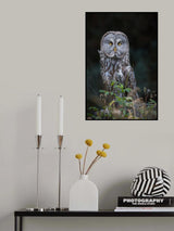 Look at Poster och Canvastavla