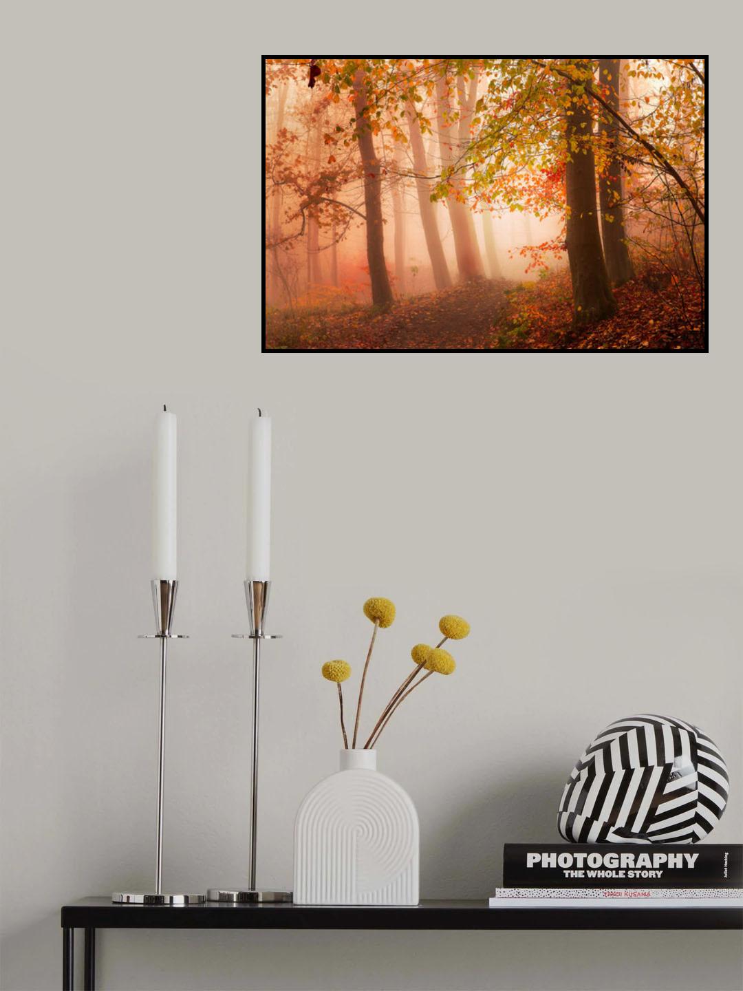 Calm walk in colors. Poster och Canvastavla