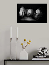 Leonardo Poster och Canvastavla
