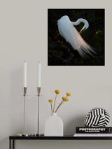 Evening Grooming Poster och Canvastavla