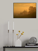 Morning mist. Poster och Canvastavla