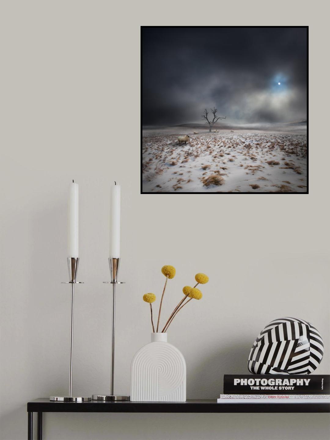 The Land OF The Midnight Sun Poster och Canvastavla