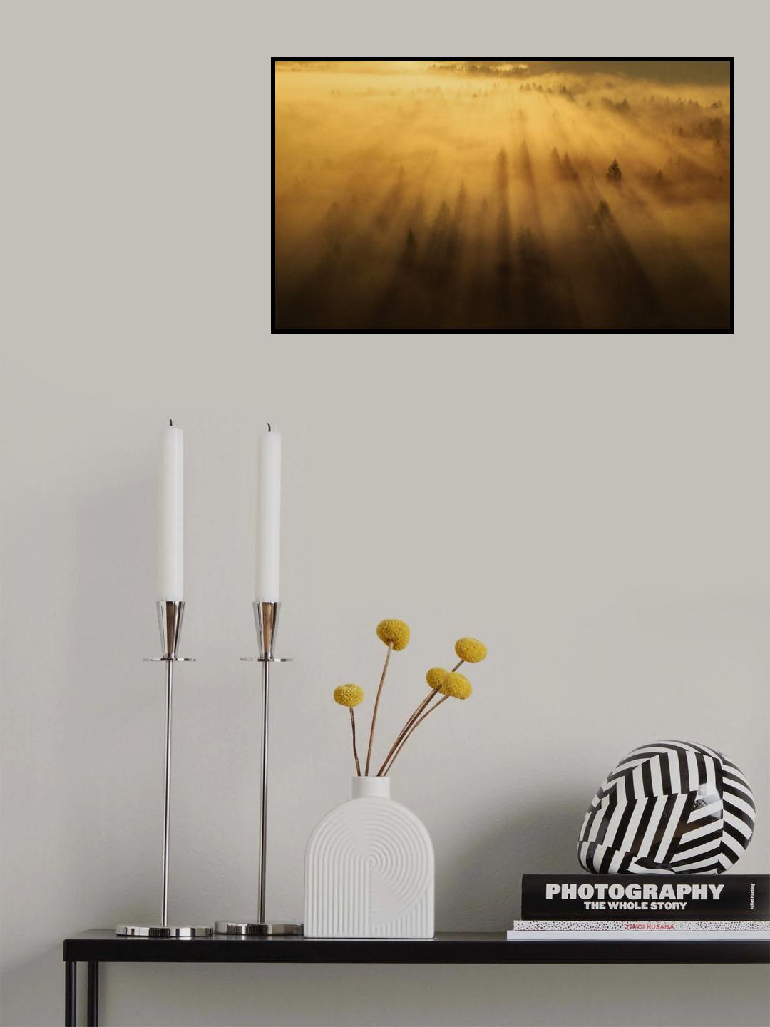 Morning in the forest Poster och Canvastavla