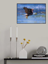 Just a Snack! Poster och Canvastavla