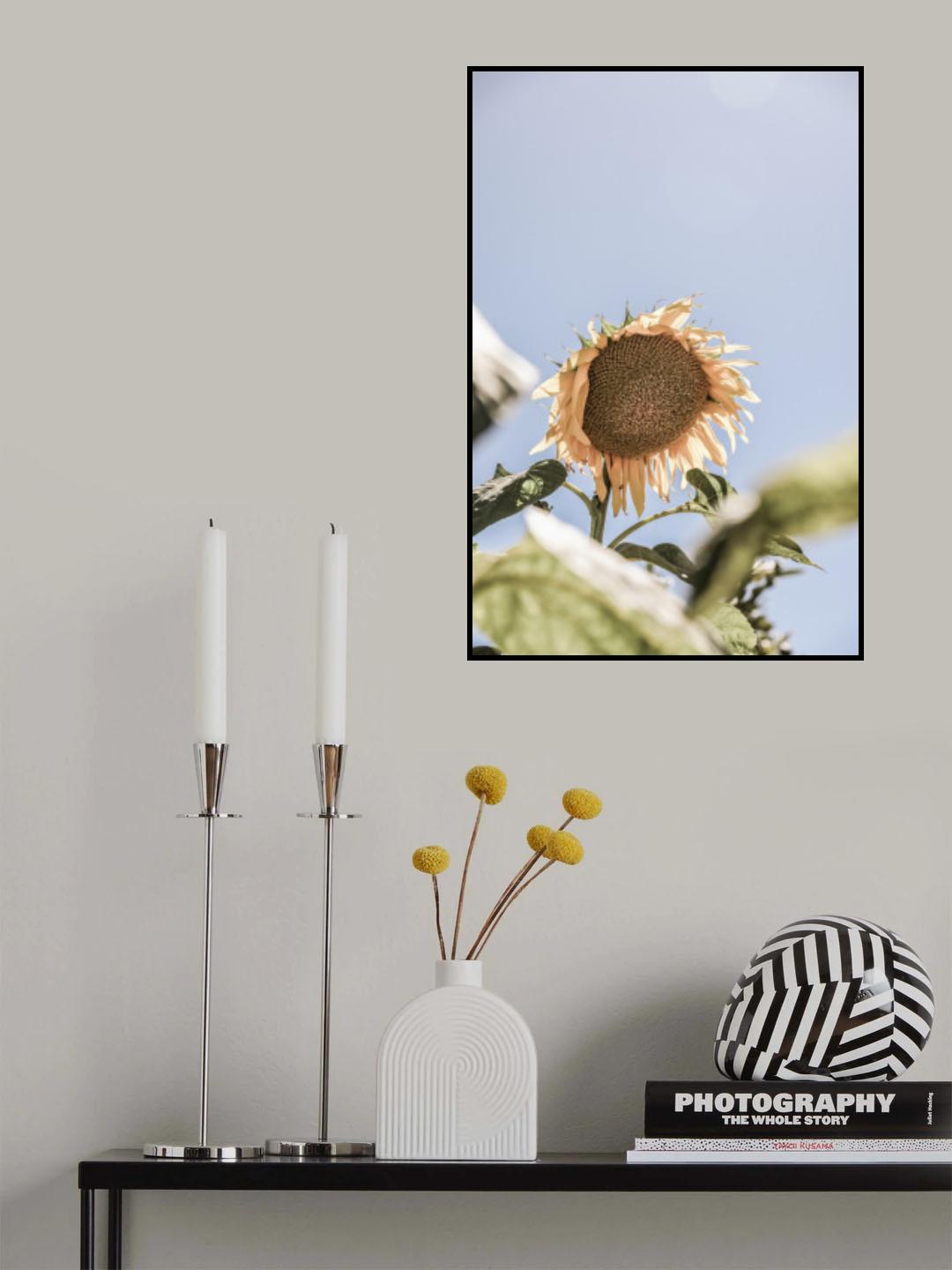 Sun Bloom Poster och Canvastavla