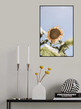 Sun Bloom Poster och Canvastavla