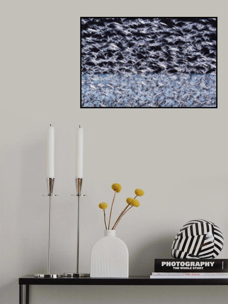 To the Arctic Poster och Canvastavla