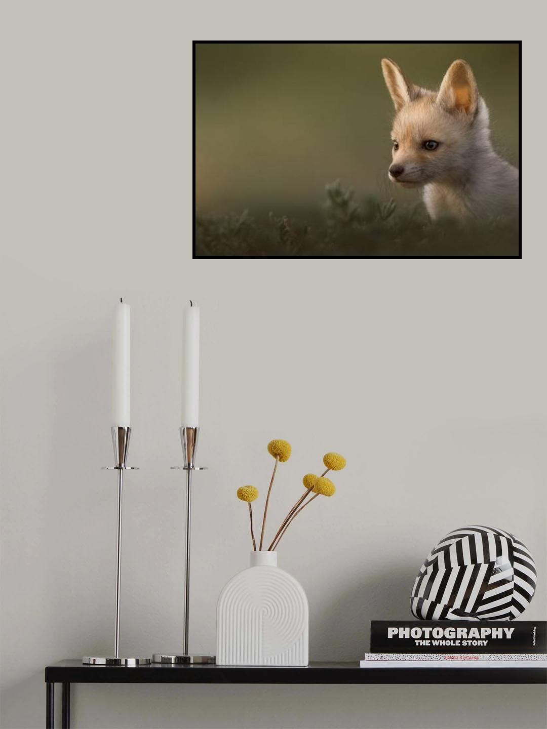 Poster och Canvastavla