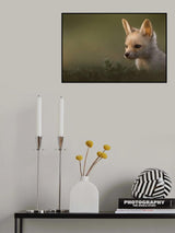 Poster och Canvastavla