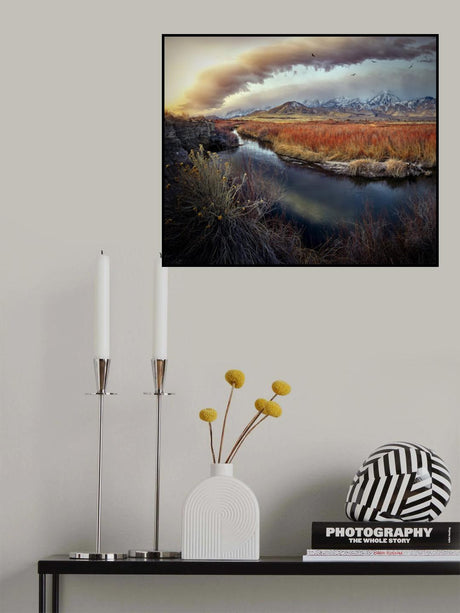 Owens River at Sunrise Poster och Canvastavla