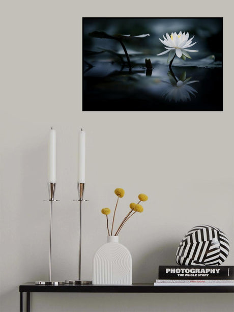 Reflection Poster och Canvastavla