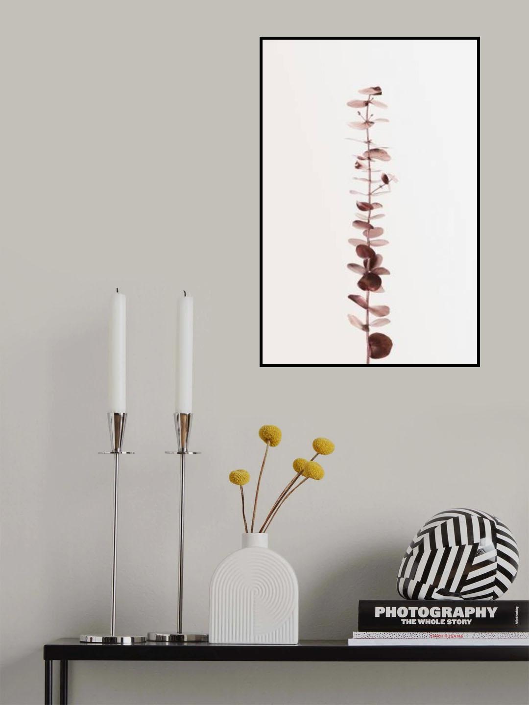 Eucalyptus Copper No 01 Poster och Canvastavla