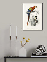 Birds II Poster och Canvastavla