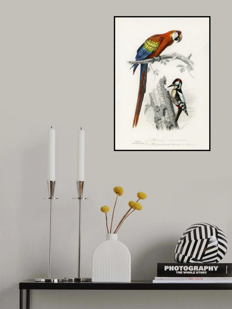 Birds II Poster och Canvastavla