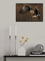 Fish for lunch Poster och Canvastavla