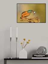 hebbes Poster och Canvastavla