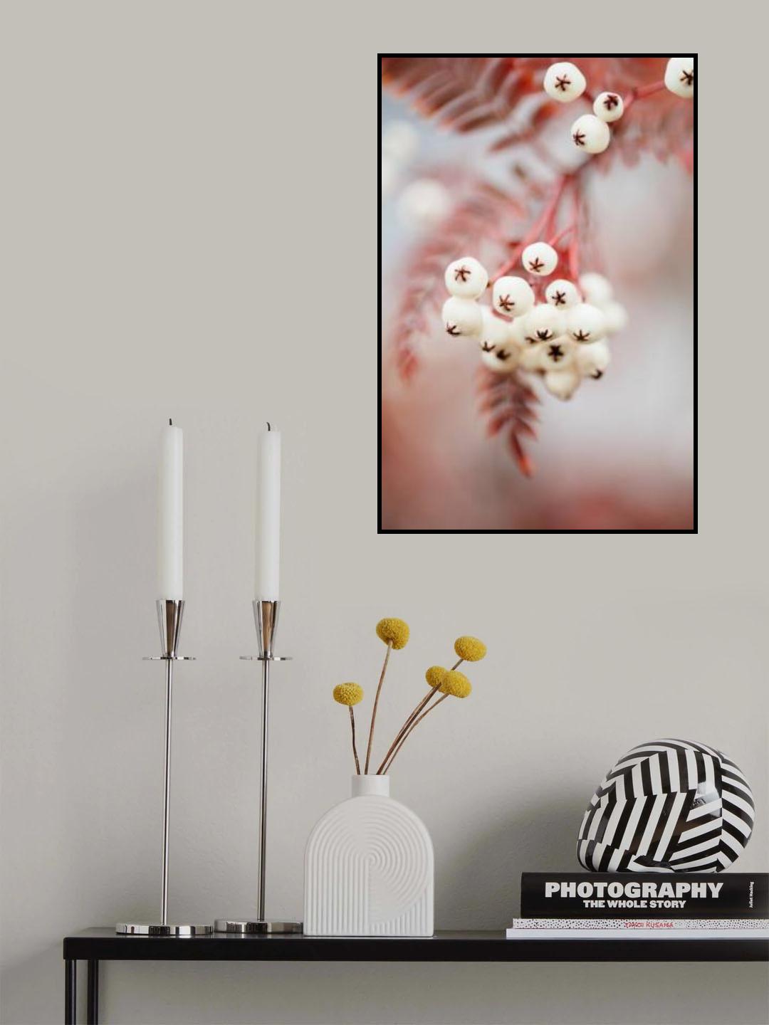 Berries on a twig Poster och Canvastavla