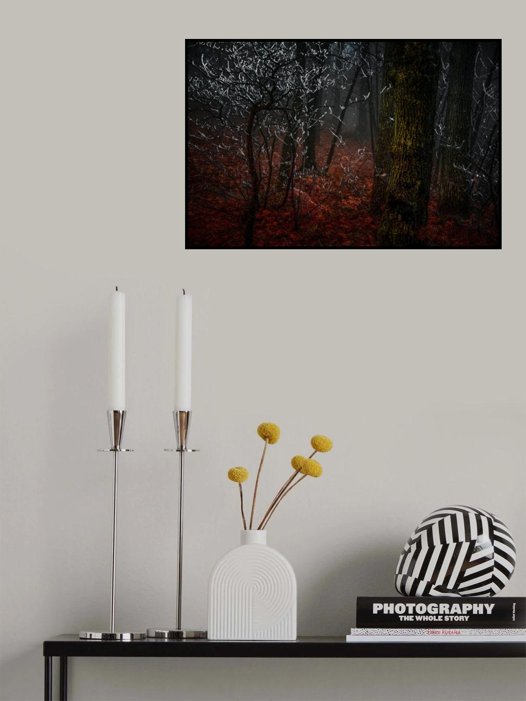 Impressions in the Woods Poster och Canvastavla