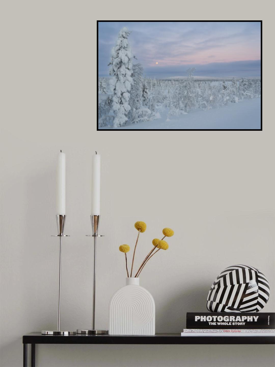 Winter Wonderland Poster och Canvastavla