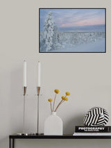 Winter Wonderland Poster och Canvastavla
