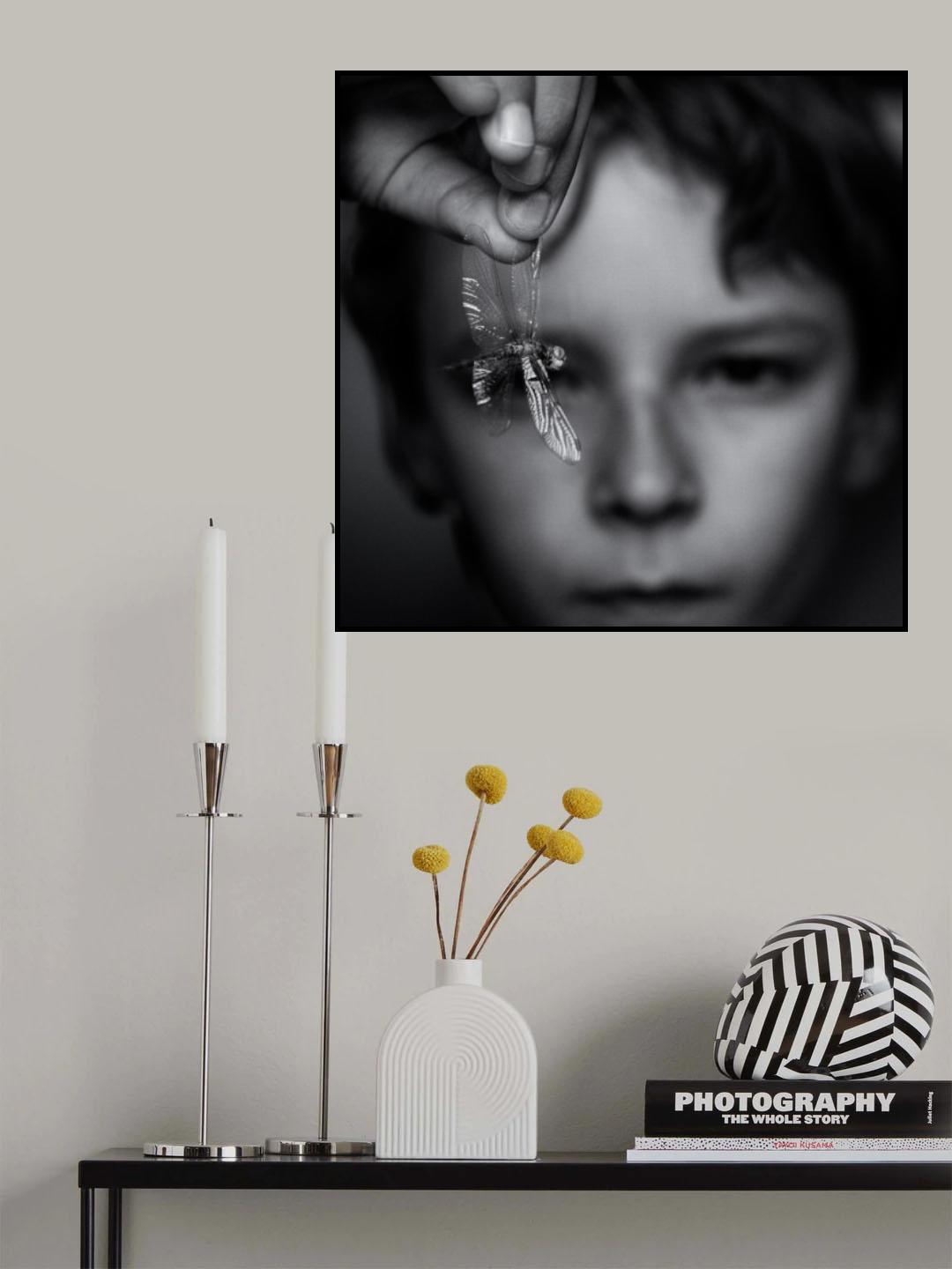 It doesn\'t fly anymore Poster och Canvastavla