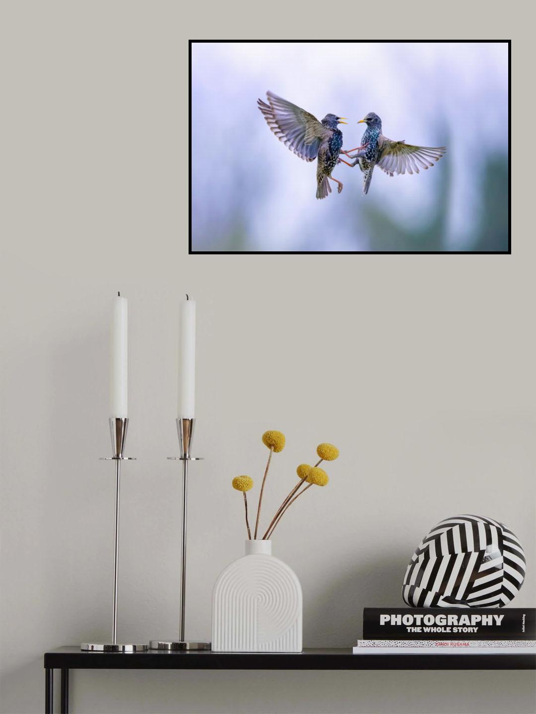 Fight in the sky Poster och Canvastavla
