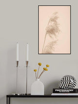 Reed Grass Beige 03 Poster och Canvastavla