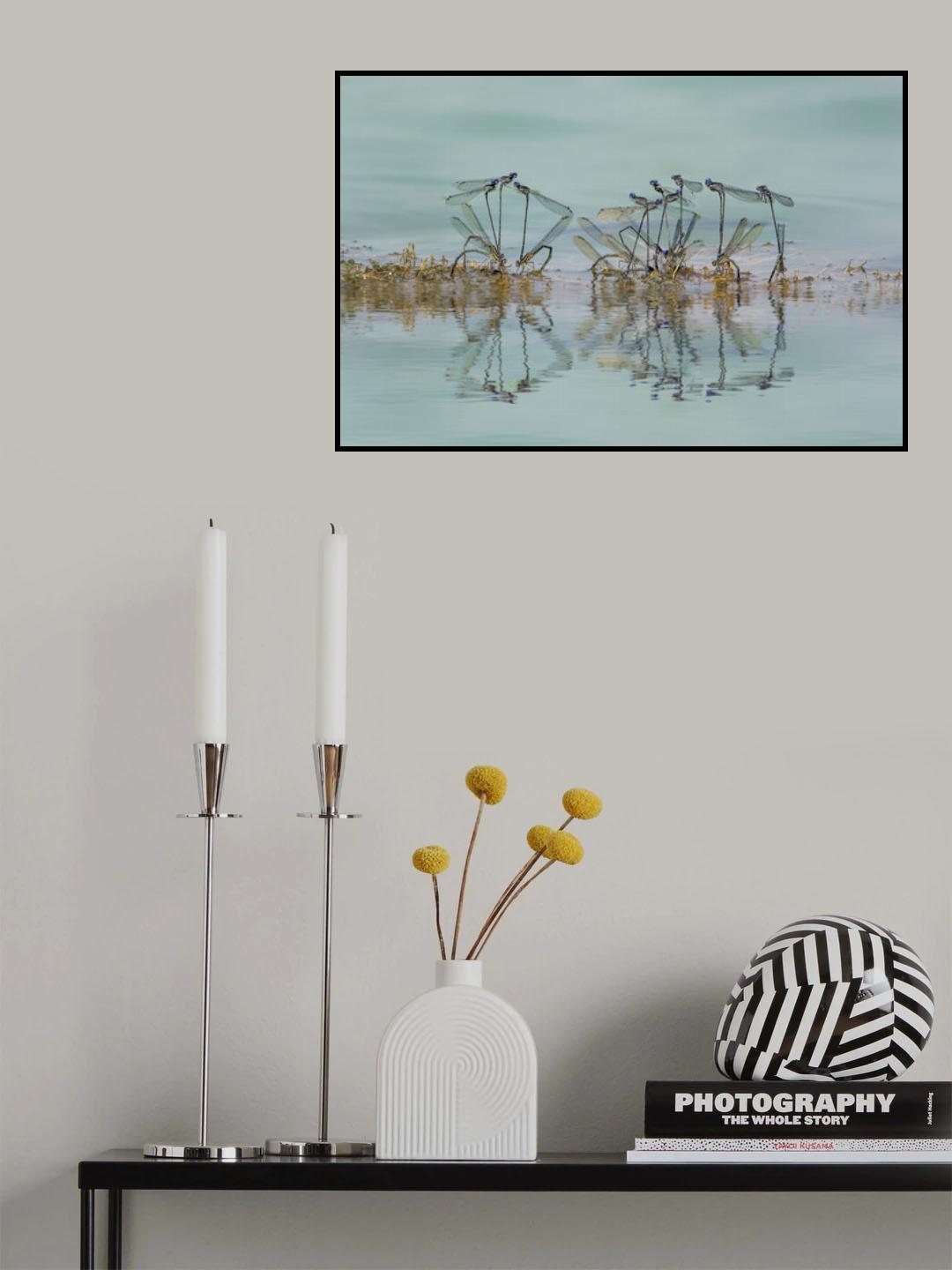 Harmony Poster och Canvastavla