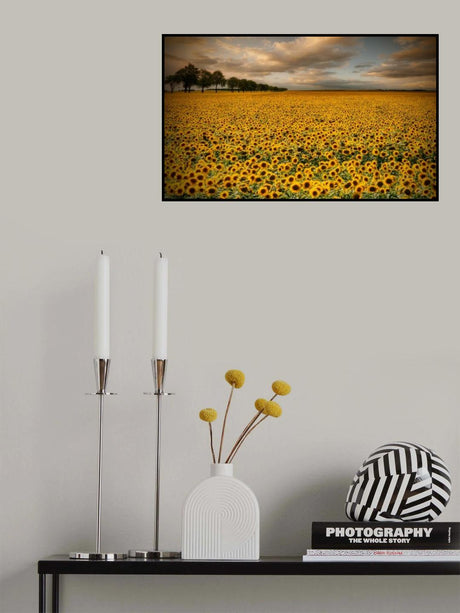 Sunflowers Poster och Canvastavla