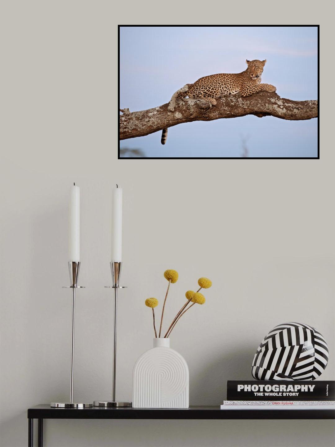 The Prince Poster och Canvastavla
